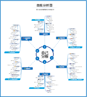 自我分析图