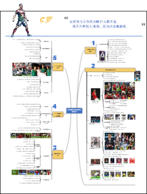克里斯蒂亚诺·罗纳尔多综合传记