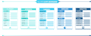 kocKOL合作引流效果追踪表