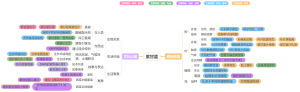 紫甘蓝