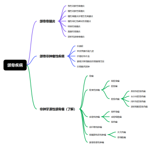 14颌骨疾病