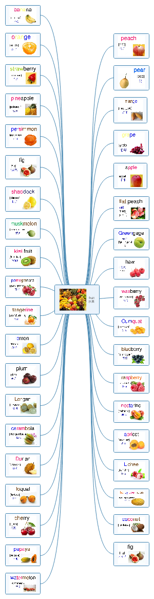 水果英语单词导图