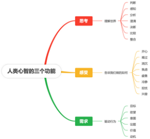 人类心智的三个功能