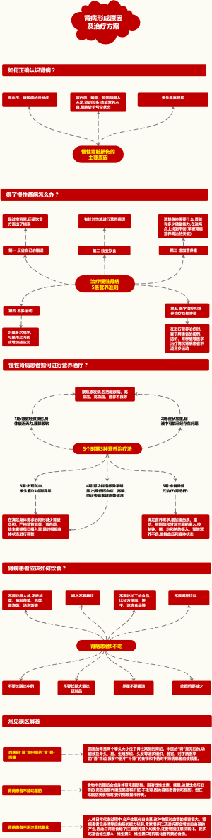 肾病形成原因及营养诊疗方案