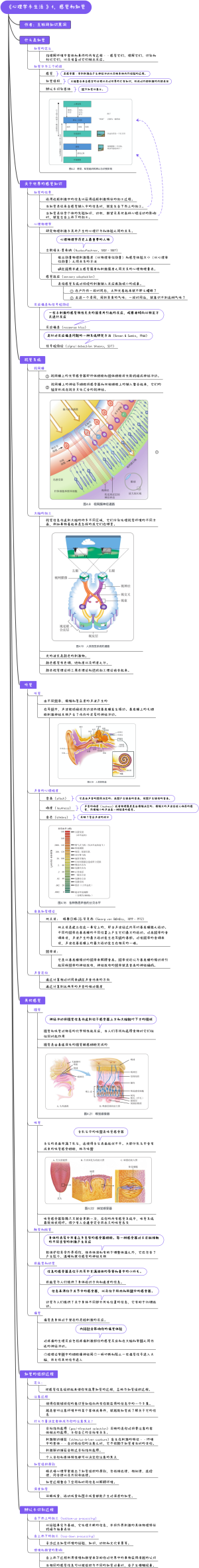 《心理学与生活 》4，感觉和知觉