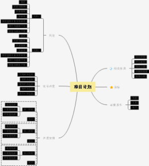 项目计划