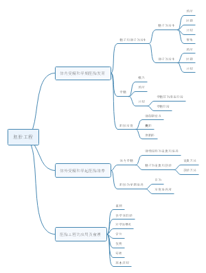 胚胎工程