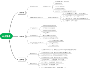 职业理念