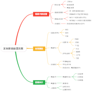 文玩项目运营方案