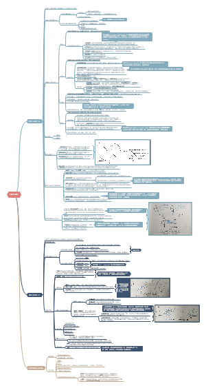 药理学概论知识梳理