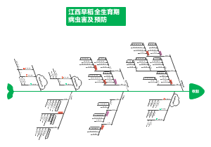 江西早稻全生育期病虫害及预防