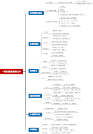 一氧化氮健康新动力