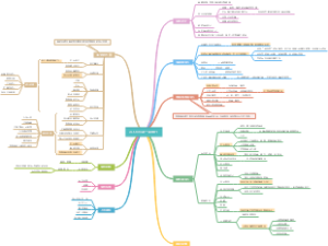 如何进行银行特色店建设？