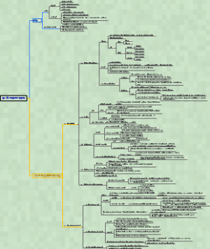 生理学第八章第一节-肾的功能解剖和肾血流量