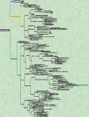 生理学第八章第一节-细胞膜的物质转运功能