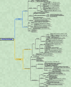 生理学第十章第五节-脑电活动及睡眠与觉醒