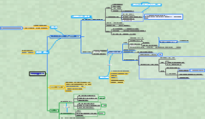 考研西综-内科学-0502再生障碍性贫血