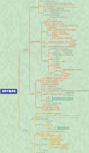 系统解剖学男性生殖系统