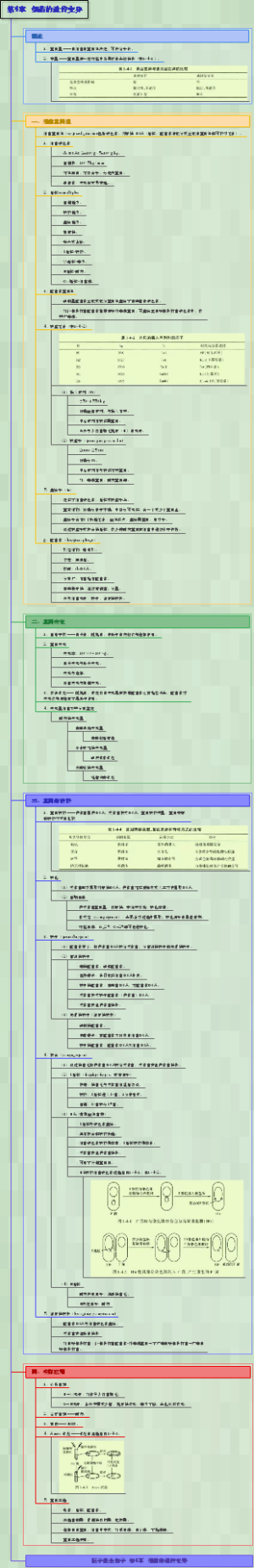 医学微生物学-004细菌的遗传变异