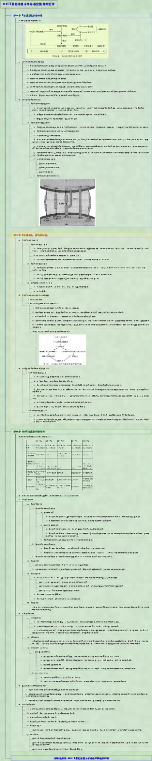 医学免疫学-012T淋巴细胞介导的适应性免疫应答