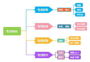 免疫系统的作用