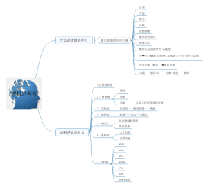 逻辑思考力