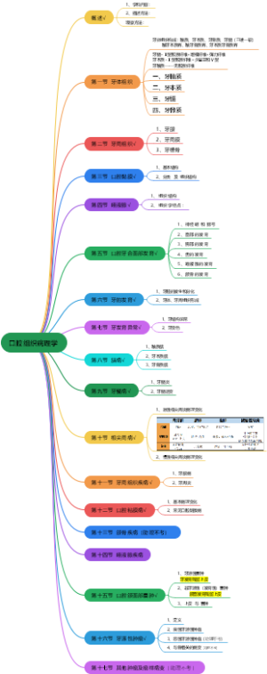 口腔组织病理学（助理）