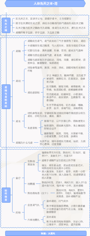 人体后天之本•肾