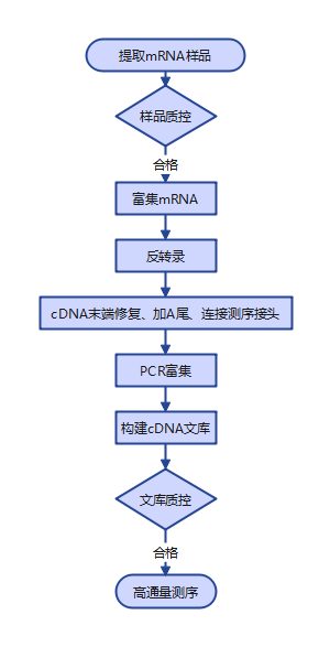 mRNA样品流程图