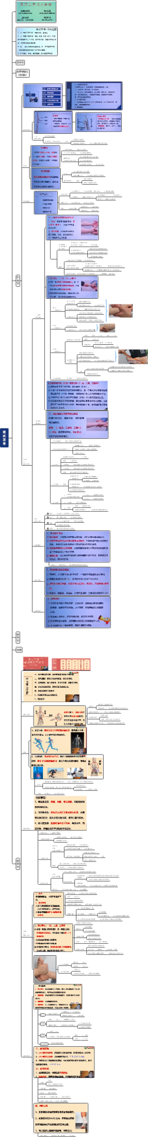 红杏林柔性正骨