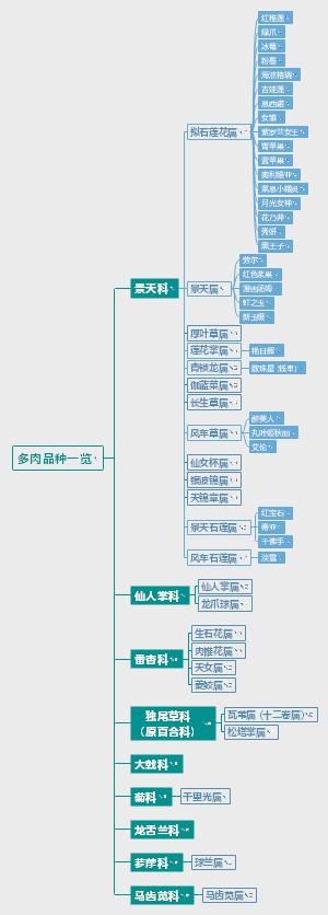 多肉分类品种一览