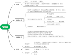 实验班