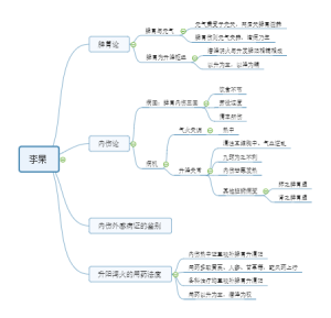 中医各家学说李杲的学术思想思维导图