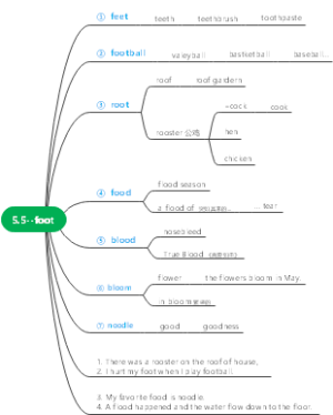 5.5：foot