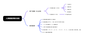 人类睡眠周期系统思维导图