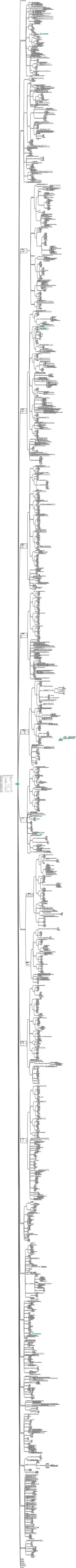 信息系统项目管理师