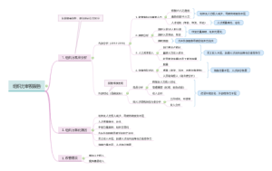 组织力审视报告