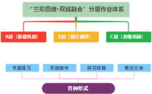 “三阶四维·双线融合”分层作业体系