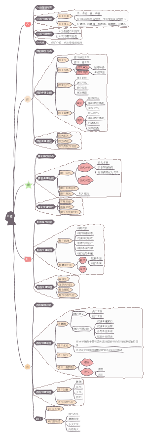 中医五脏相关思维导图