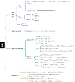 植被