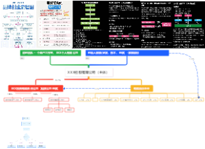 控股有限公司（主体）