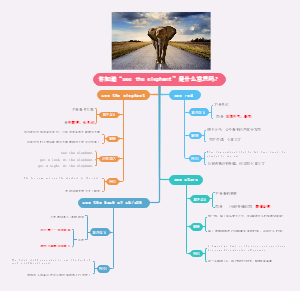 你知道see the elephant是什么意思吗？