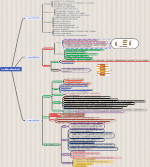 CTO病变PCI前向开通技术（1）