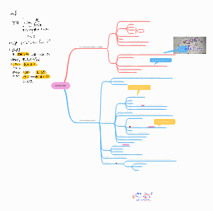妇产科护理学第二章生殖系统和第四章妊娠期妇女护理