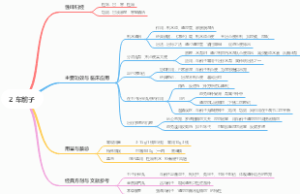 2 车前子