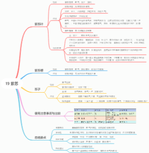 19 紫苏