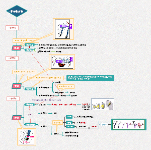 肾和输尿管发生——泌尿系统