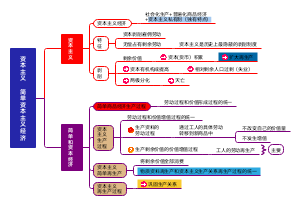 资本主义 简单资本主义经济