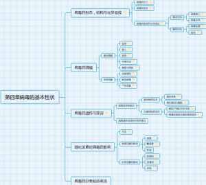 第四章病毒的基本性状