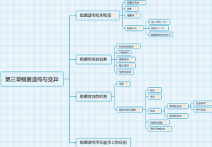 第三章细菌遗传与变异